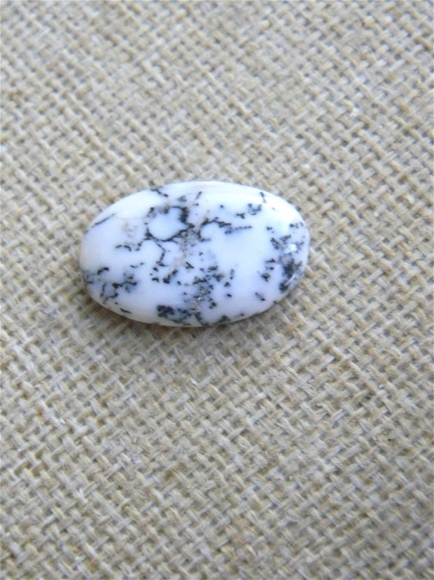 Caboson opal dendritic (F28-3)