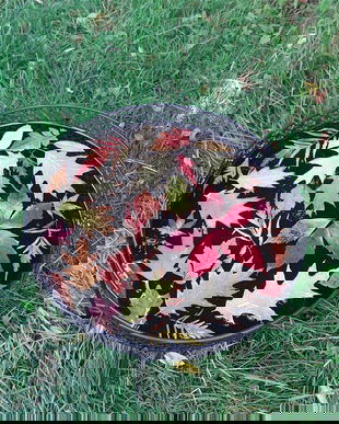 Masa cafea cu frunze naturale colorate divers sigilate in rasina