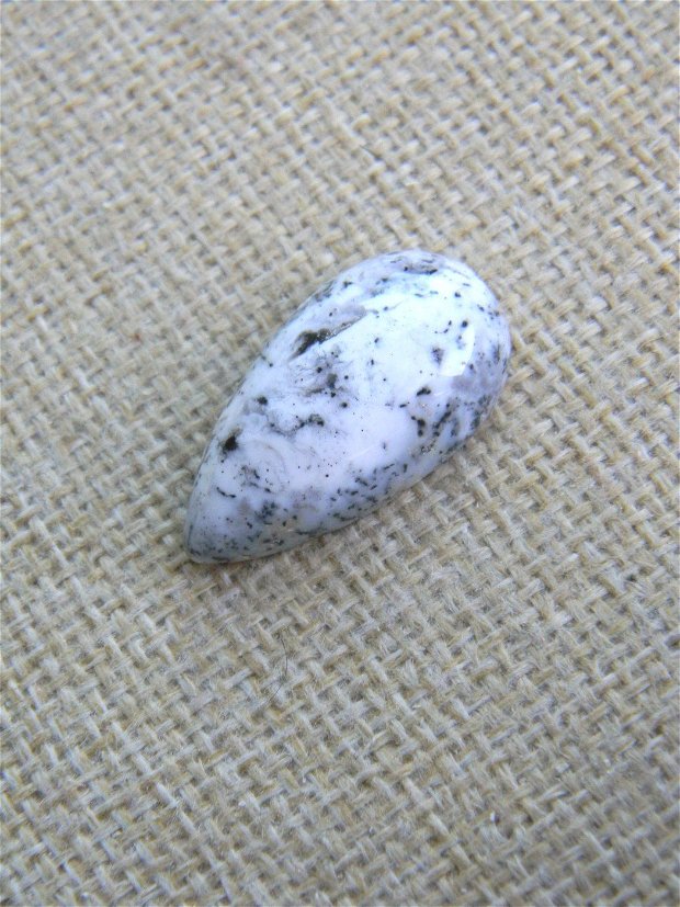 Caboson opal dendritic (F33-6)