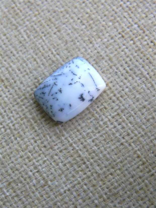 Caboson opal dendritic (F33-6)