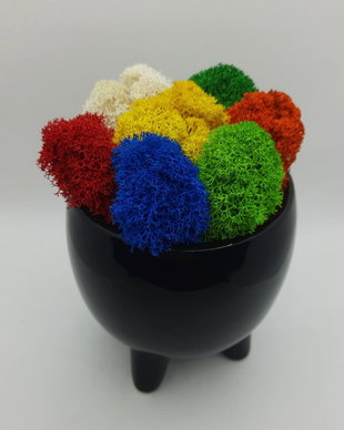 Ghiveci negru cu licheni multicolori