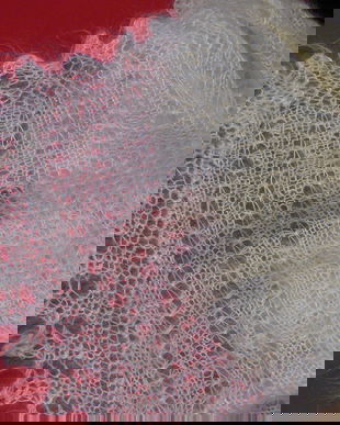 Noua/esarfa model Orenburg