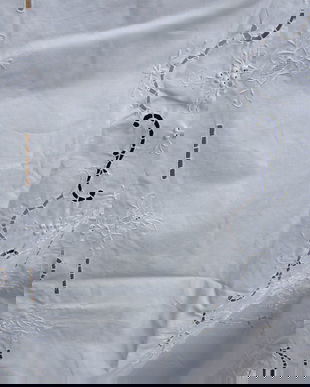 Fata de masa brodata