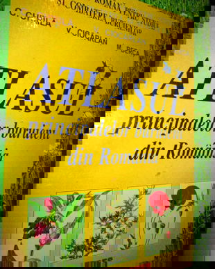 2002 Atlasul buruienilor din Romania