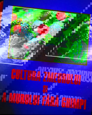 2002 Cultura zmeurului si a murului