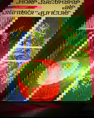 2002 Bolile bacteriene ale plantelor agricole