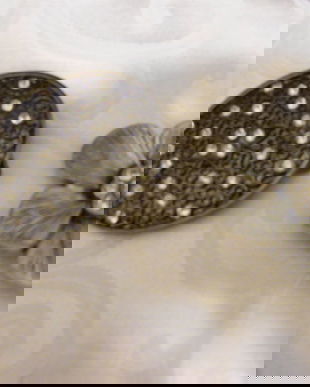 2 paftale pt decor genti