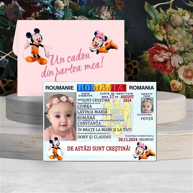 Magneti buletin fetite, Minnie si Mickey