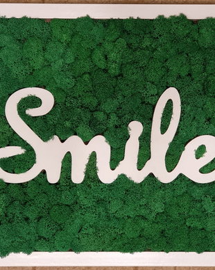 Tablou Smile cu licheni