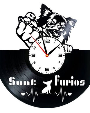 CHIHUAHUA FURIOS- ceas de perete