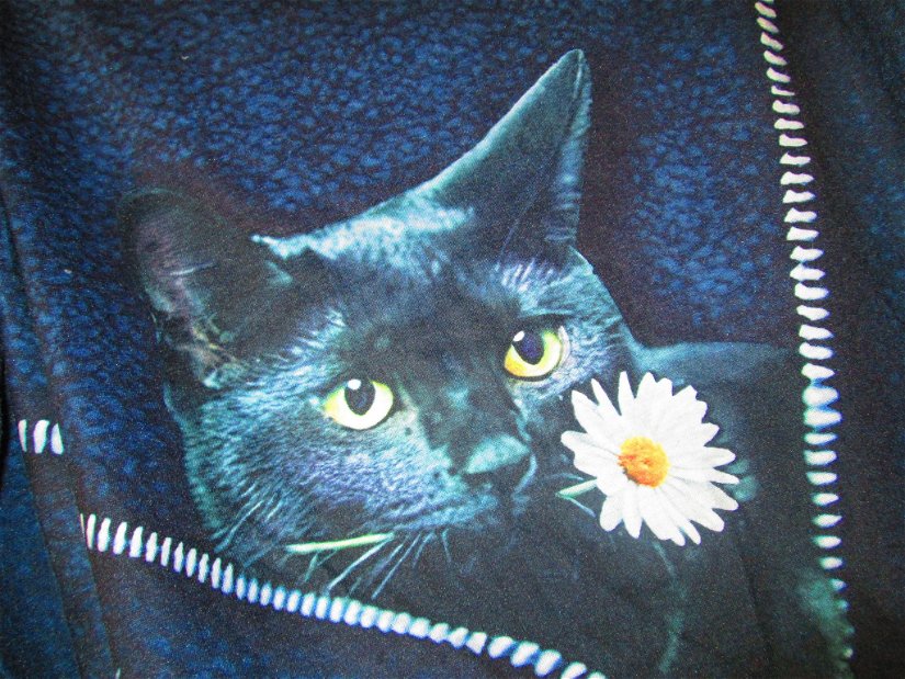 bluza simpatica cu pisicuta M