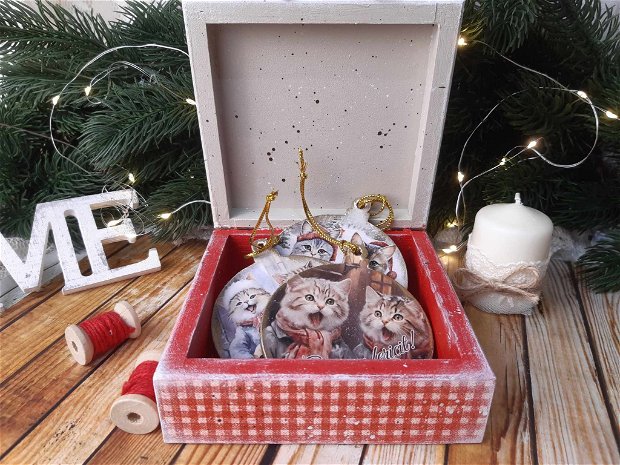 Cutie cu pisici - cadou de Craciun