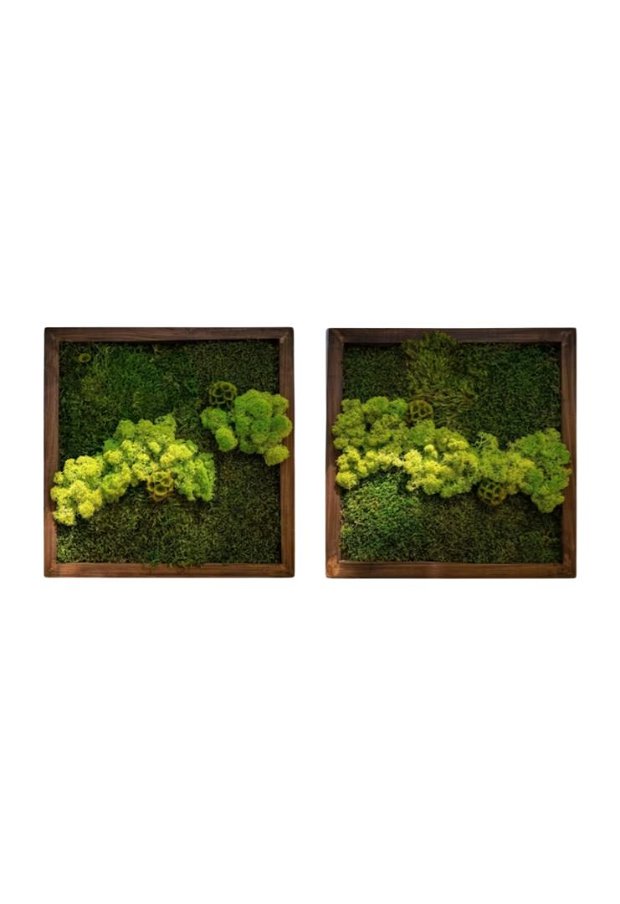 Tablouri din licheni 30x30 cm
