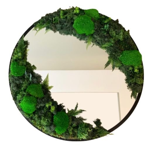 Oglinda din licheni