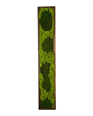 Tablou din licheni 100x20 cm