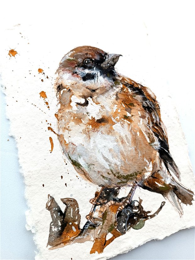 Tablou Vrabie de Câmp (Passer montanus) - Birds Collection