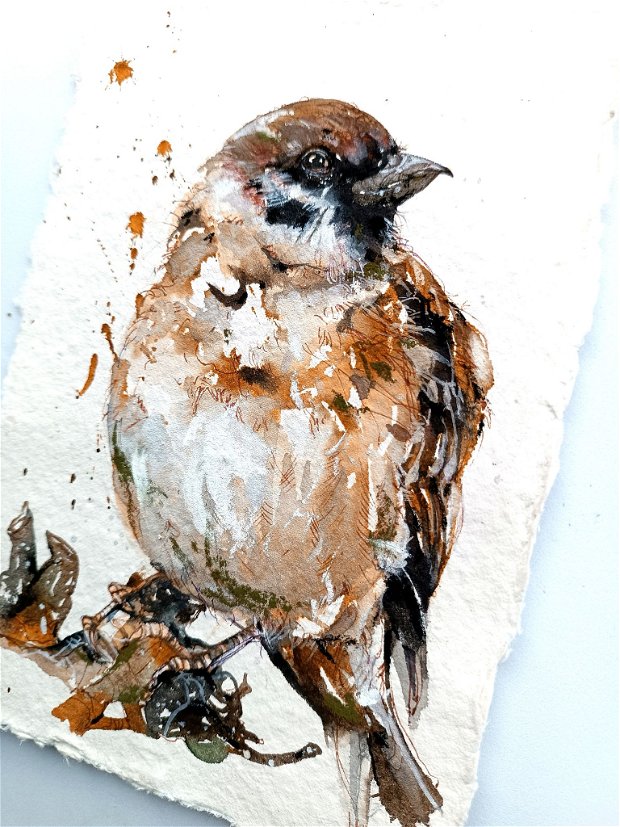 Tablou Vrabie de Câmp (Passer montanus) - Birds Collection