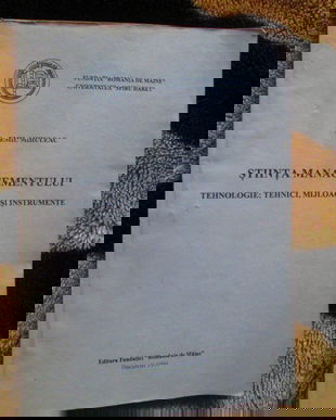 1996- Stiinta managementului - Mihuleac