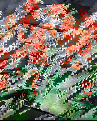 PIERRE  CARDIN , esarfa noua  deosebita , matase  naturala