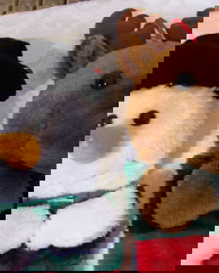 Decor ciorapei Craciun