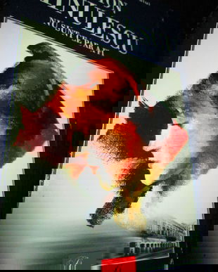 2003- Minulescu- Nu sunt ce par a fi