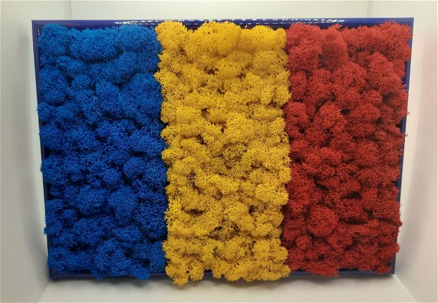 Tablou tricolor Romania cu licheni