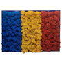 Tablou tricolor Romania cu licheni