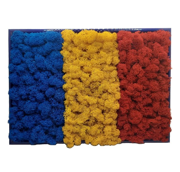 Tablou tricolor Romania cu licheni