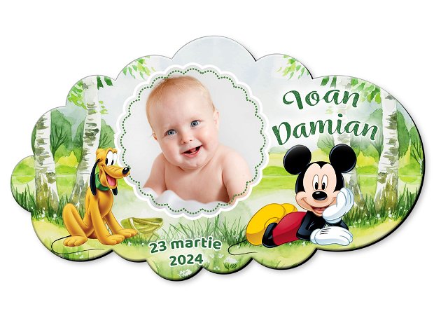 Marturii magnetice botez - Mickey Mouse si Pluto