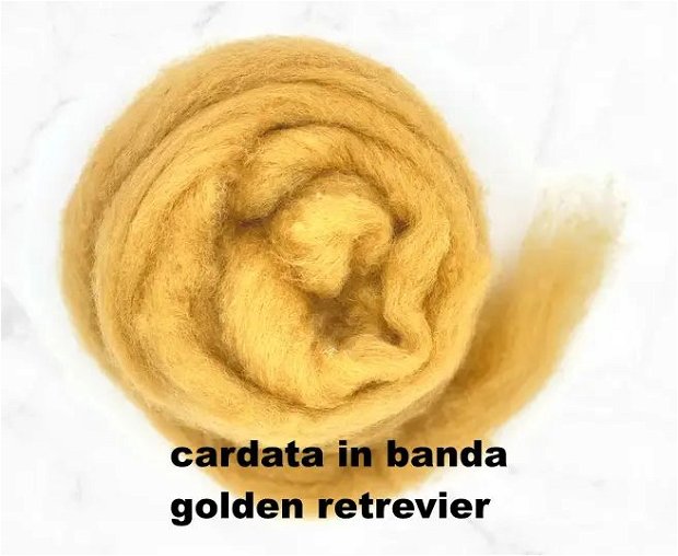 cardata in banda-golden retrevier