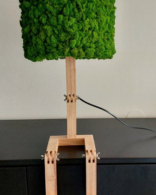 Lampa cu licheni stabilizati, WoodenMan