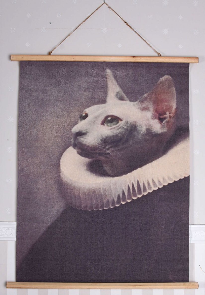 Poster mare din in cu o pisica cu guler