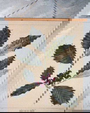 Poster mare din in cu o creanga de stejar american