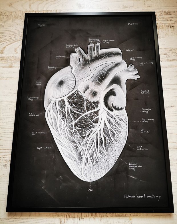 Tablou "Human Heart Anatomy"