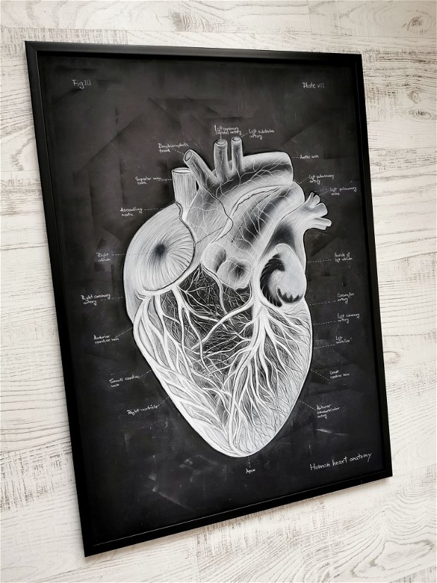 Tablou "Human Heart Anatomy"