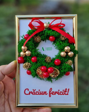 Mini-tablou Coronita Craciun