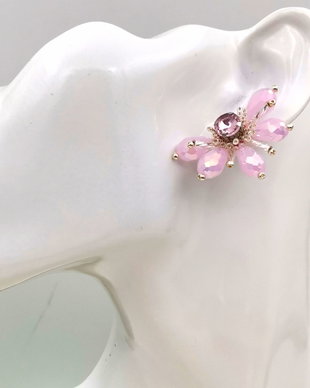 Rezervat Cercei - Pink Puder Flowers