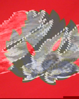 Noua/floare pt aplicatii