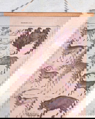 Poster mare cu animale salbatice din Africa