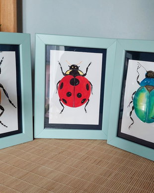 Meet the Bugs