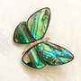 Brosa fluture Paua Shell