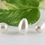 Perle seashell 12x8mm, semigaurite (1)