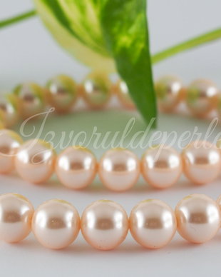 Perle seashell 10mm, cod ID4 (1sir)