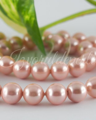 Perle seashell 10mm, cod ID1 (1sir)
