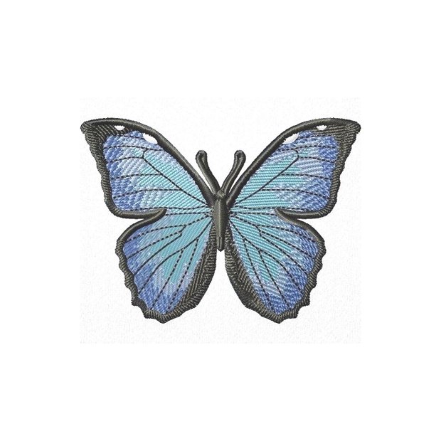 Fluture albastru