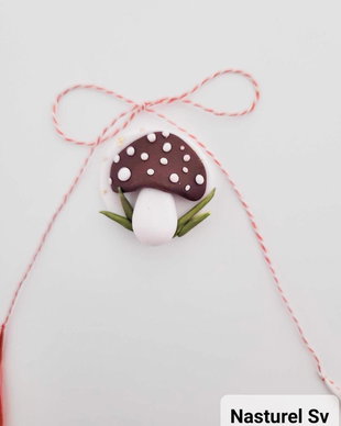 Brosa martisor: Ciupercuta