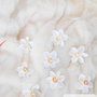 Pachet promotional brose martisor: Narcisa