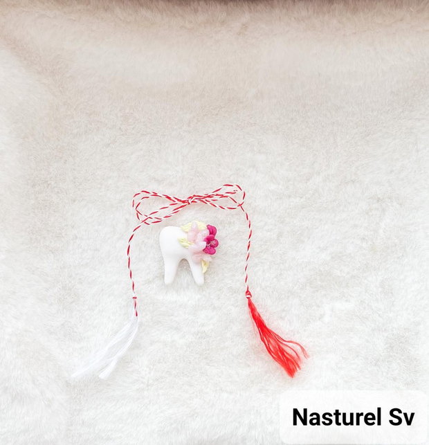 Brosa martisor: Dinte
