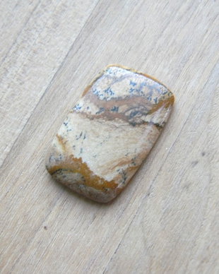 Caboson picture jasper (F40-1)