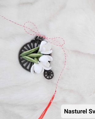 Brosa martisor: Bicicleta cu ghiocei